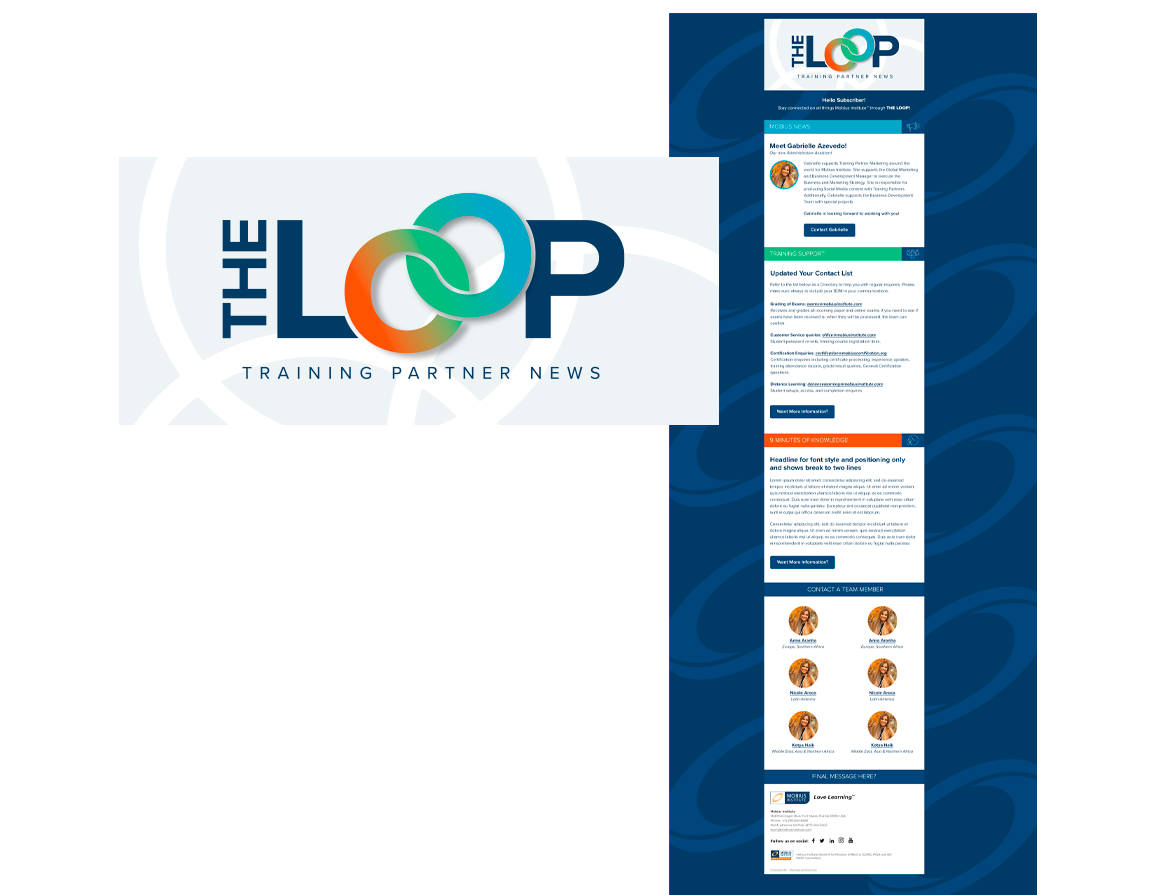 Mobius Institute Digital Newsletter - The Loop Brand Logo